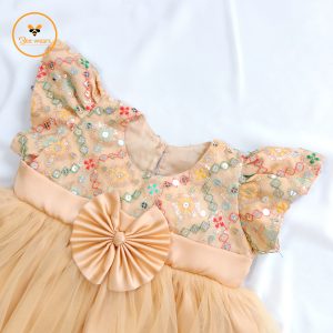 Georgette Girl’s Party Dress- Biscuit Color