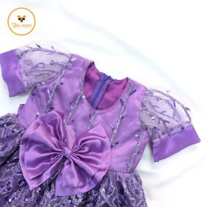 Net Fabric Girl’s Party Dress